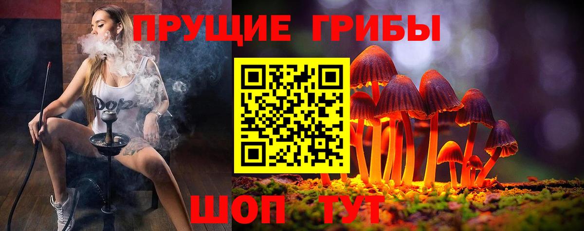 Нижневартовск  цены наркотик  Псилоцибиновые грибы мицелий  Вход с VPN  Псилоцибиновые грибы Cubensis 